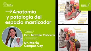 Anatomía y patología del espacio masticador por la Dra. Natalia Cabrera.