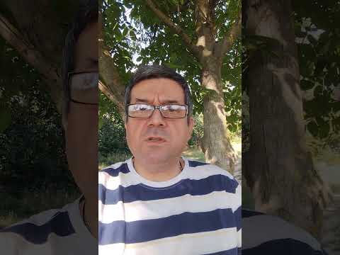Рилс 8 практичнаинтелигенција.срб