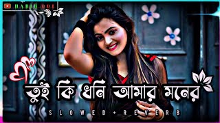 তুই কি ধনি আমার মনের রানি ও গো হবি | (Slowed Reverb) Bangla Lo-fi Song #_HABIB__001_#banglasong