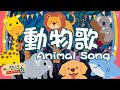 【萬物都來唱哈利路亞 All Creation Sings Hallelujah】敬拜MV - 讚美之泉兒童敬拜讚美 (13)