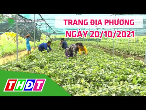 Video Trang địa phương - 20/10/2021 - Huyện Lai Vung | THDT - youtube