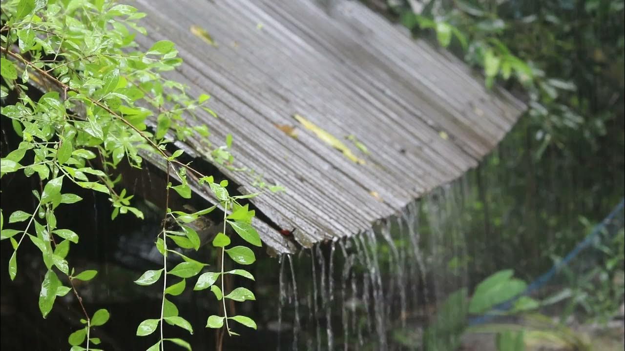 шум дождя слушать по крыше для сна. звуки природы дождь. шум дождя слушать по крыше для сна. шум дождя слушать по крыше для сна. шум дождя и грома для сна.