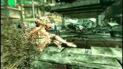 Shots 2: A Fallout 3 Compilation