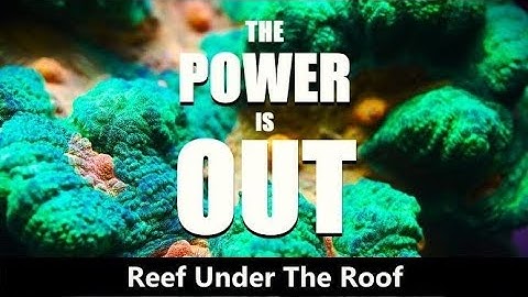 VorTech Battery Back-up Tested on MP10 & MP40 - How Many Hours Does your Reef Tank Have?!