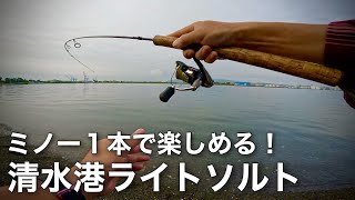 ミノー１本で楽しめる！清水港ライトソルト！