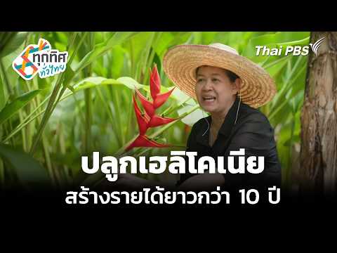 Growing Heliconia for a Sustainable Income for Over 10 Years | Thuk Thit Thua Thai | Sep 21, 2026