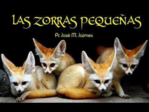 LAS ZORRAS PEQUEAS PASTOR JOSE MANUEL JAIMES   PREDICAS CRISTIANAS