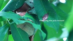 Hijjaz- Pelita Hidup - Durasi: 5:16. Hijjaz- Pelita Hidup - Durasi: 5:16.