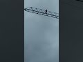 What's this geezer up to on tower crane? #share #scary #subscribe