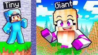 TINY vs GIANT Hide and Seek in Minecraft!