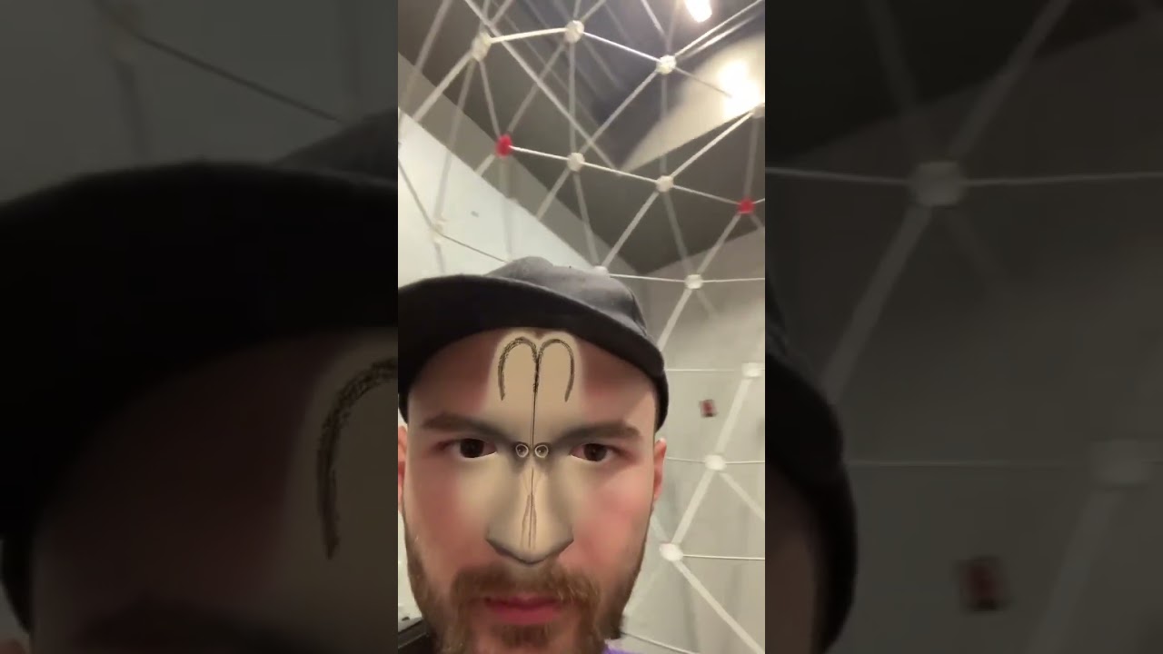 Facial Topology Test | Surreal Symmetry Mapping Experiment