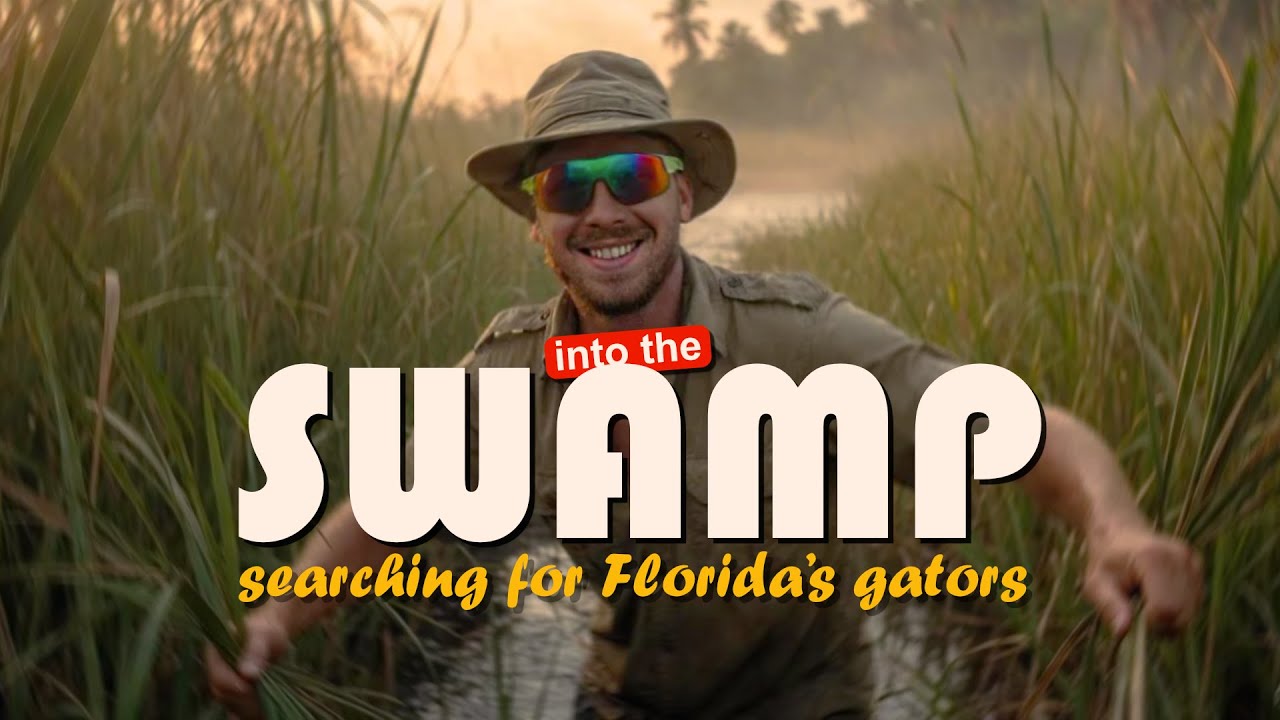 По болотам Флориды. Нашел ли Аллигатров? Found a Gator in Florida, or Did I?