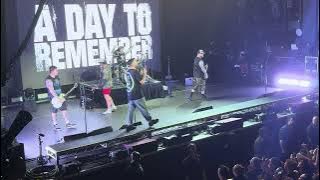 All Signs Point to Lauderdale (Live) - A Day To Remember (4K)