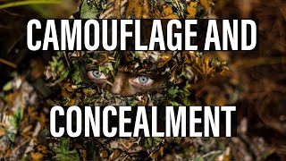 CAMOUFLAGE IN THE BUSH | How to employ camouflage and concealment methods in escape and evade