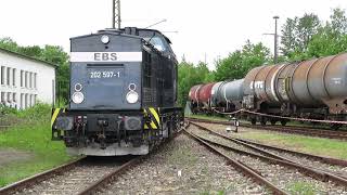 Fahrten der EBS 202 597-1 am 13 06 2021 auf dem Gelände des TEV Weimar