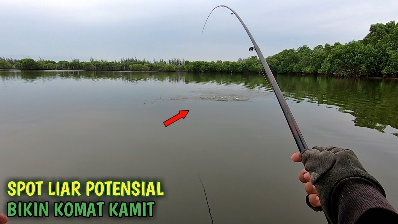 Uji Spot Mancing Terbaru !!! Ternyata Potensial Belanak Babon