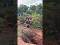 ഓവർ ത്രോട്ടിൽ കാരണം വണ്ടി മറിഞ്ഞു #automobile #offroadvehicle #offroad #suv #4x4 #offroadsuv