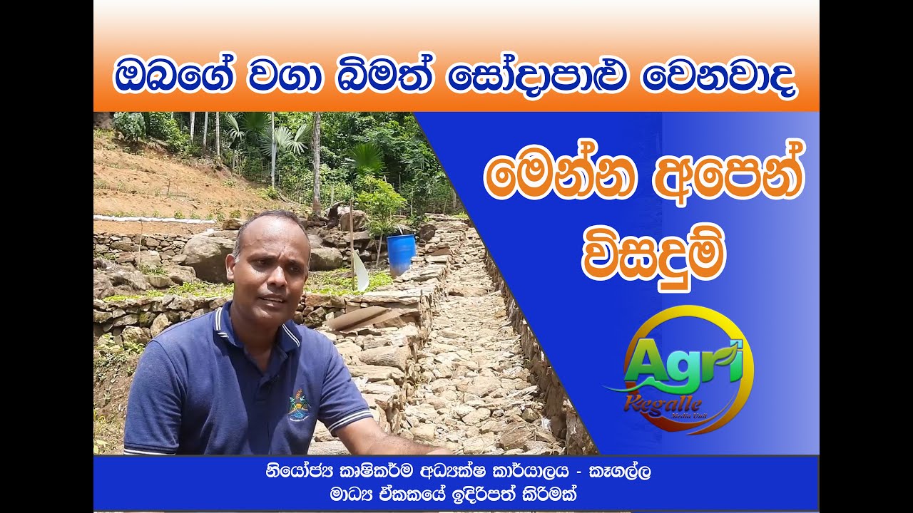 ඔබගේ වගා භුමිය සෝදා පාළු වෙනවාද