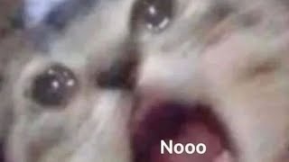 Demonologist- The Sanity Pills Wealth