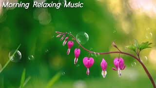 Morning Relaxing Music - Piano Music &amp; Guitar Music with Birds Singing for Stress Relief