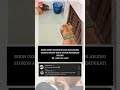 anjing aja takut sama kucing 🤣 #cat #dog