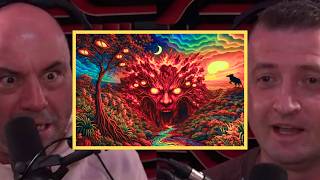 Joe Rogan: People Are Seeing “Entities” on DMT… Are They Real?