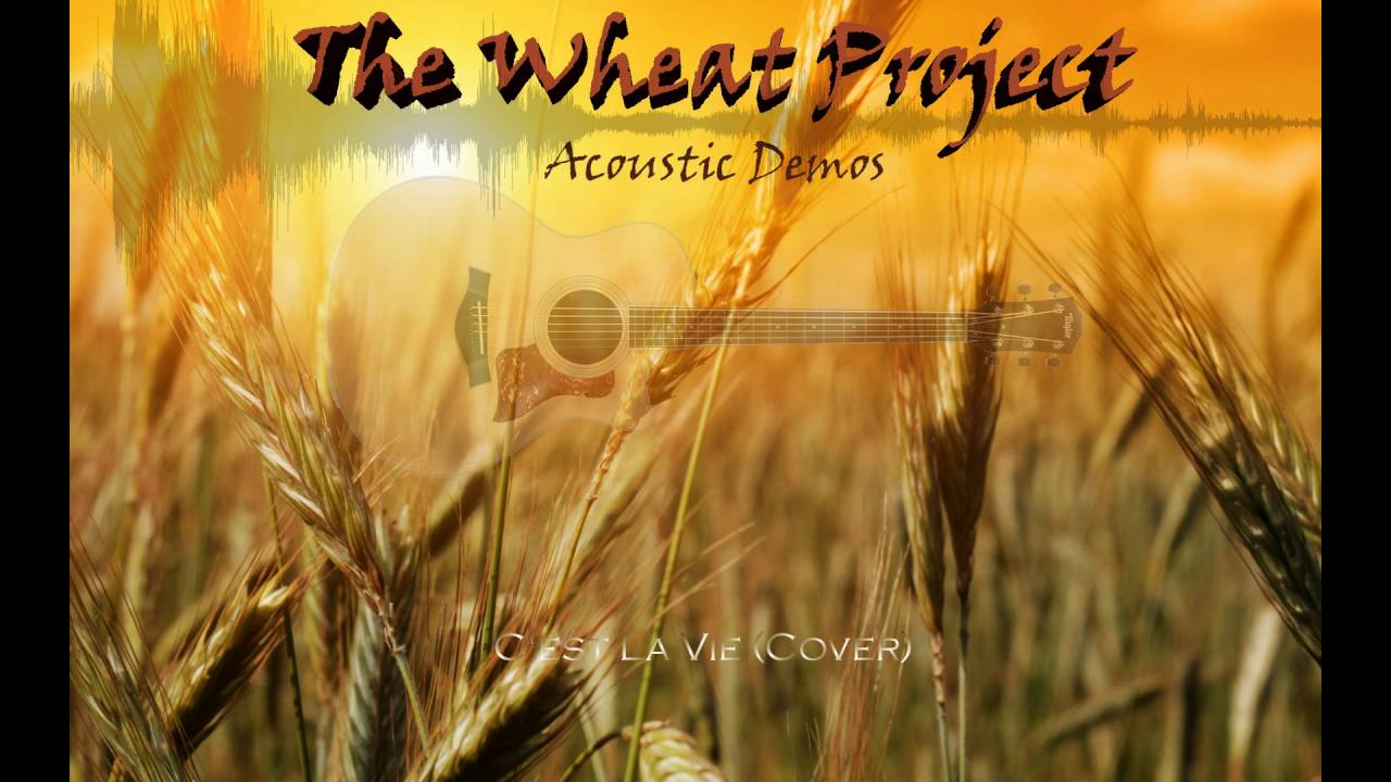 Watch The Wheat Project - C'est La Vie (Cover) on YouTube Watch The Wheat Project - C'est La Vie (Cover) on YouTube