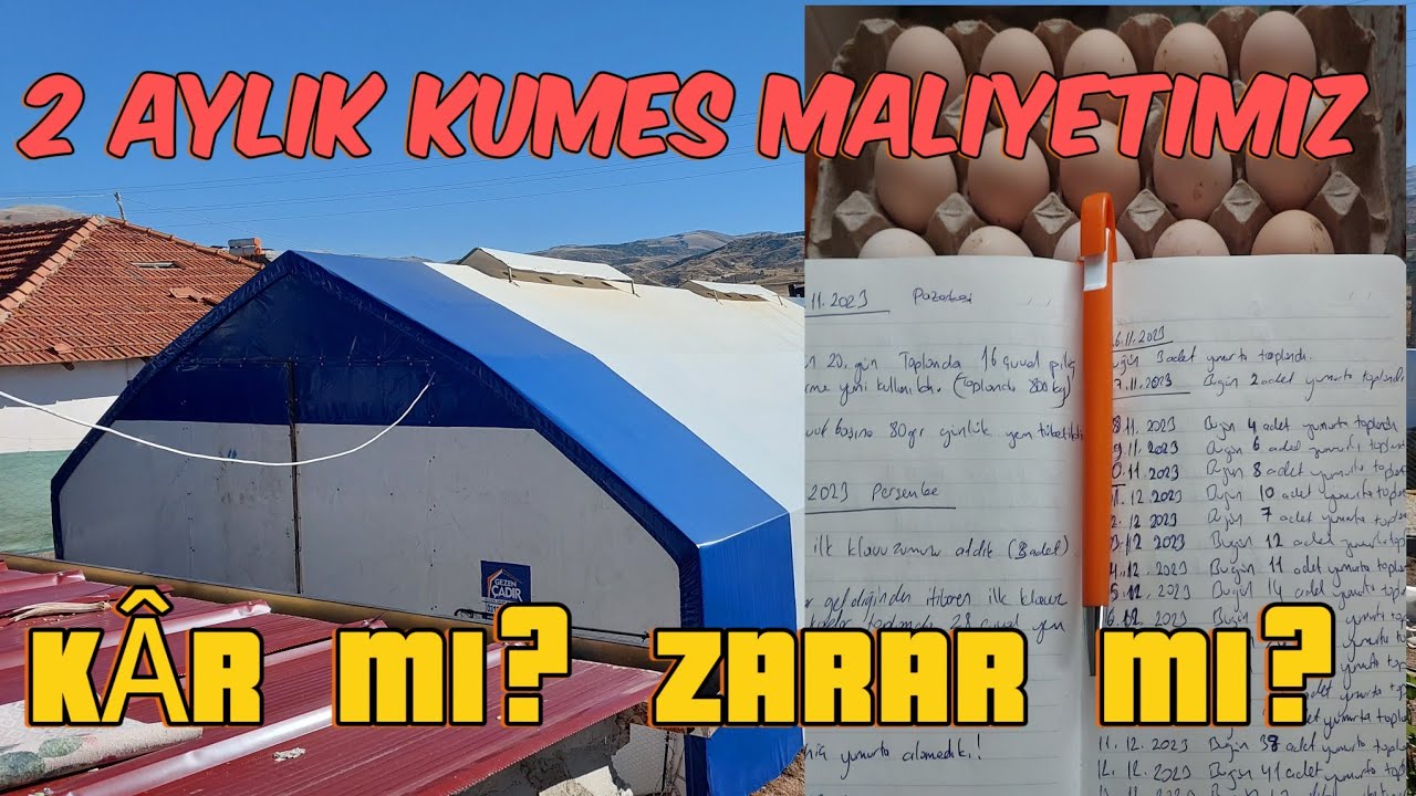 2 AYLIK KÜMES MALIYETIMIZ | YUMURTA VERIMIMIZ ARTIYOR🧿#gezentavuk#gezencadir#yumurta#köy#lohmansandy