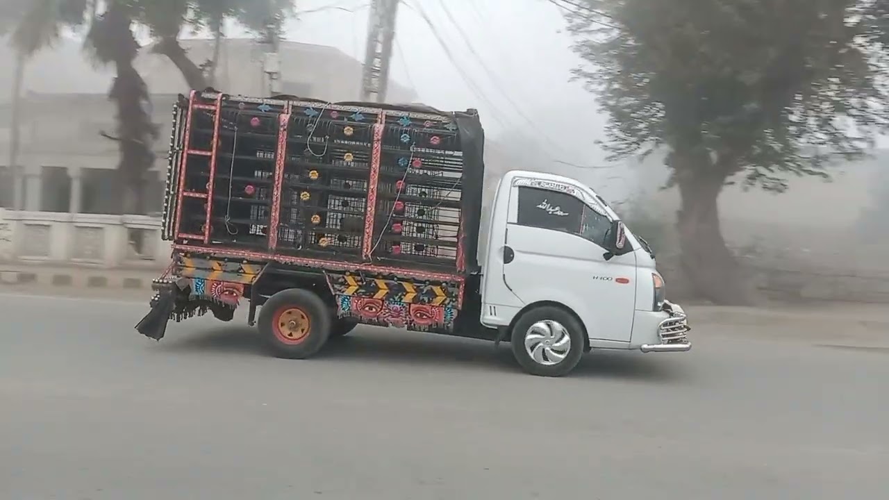 Heavy fog reigns in Mianwali city on Tuesday, 13/01/26