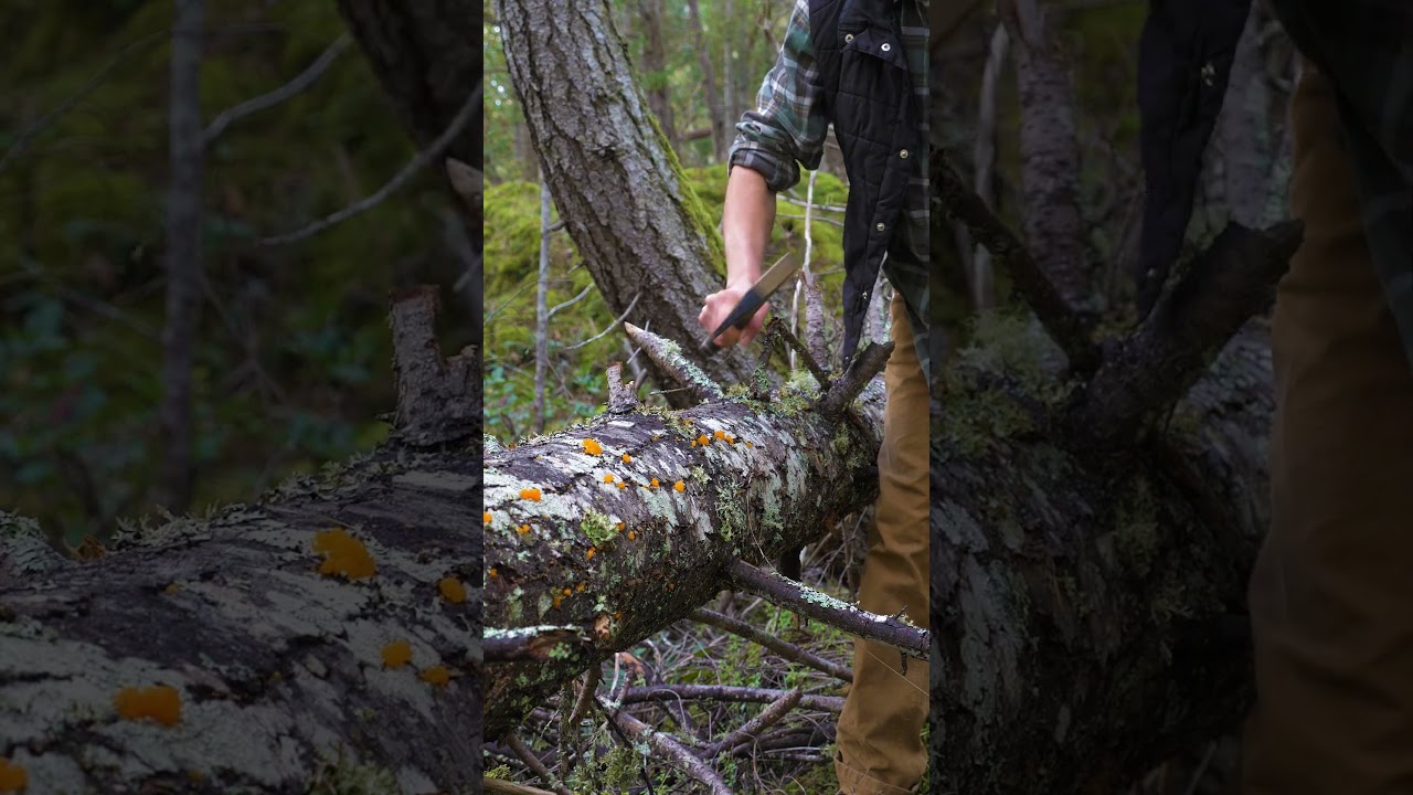 Fire Prep with the Bushcraft Axe & Strongarm Camp 