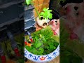 aquatic plant