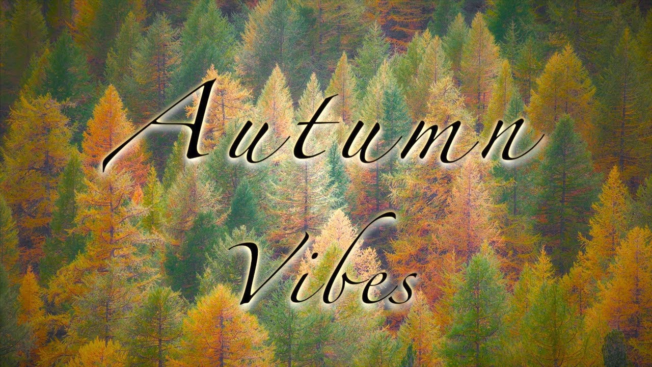 AUTUMN Vibes in Vallée Étroite, France.