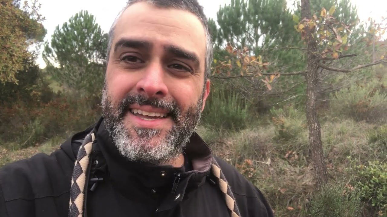 Calendario fenológico de mirmecología