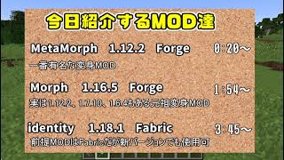 1.12.2、1.16.5、1.18.1対応のマイクラ変身MODを3種紹介！いろんなMOBに変身しよう！【MetaMorph】【Morph】【identity】≪MOD紹介≫《Minecraft》