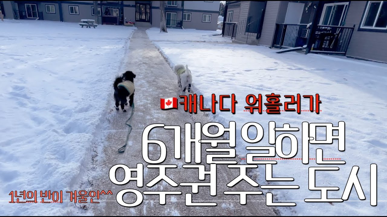 캐나다 영주권 신청했습니다!!!!! / 1년의 반이 겨울, 캐나다의 소도시생활