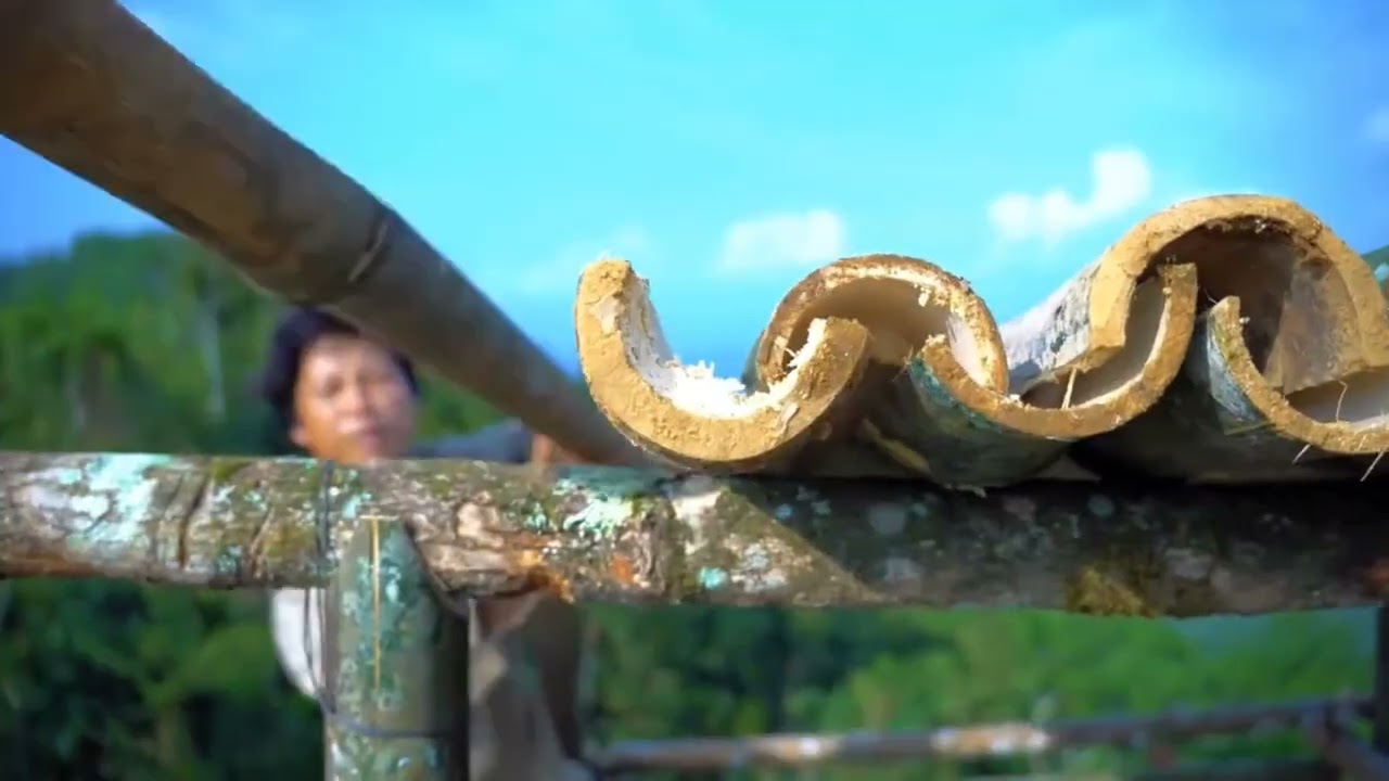 🌿 Building a Calm & Peaceful Tree Shelter 🌿 