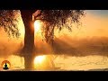 30 Minute Relaxing Sleep Music, Sleep Meditation, Calm Music, Insomnia, Relax, Study, Sleep, ☯169B