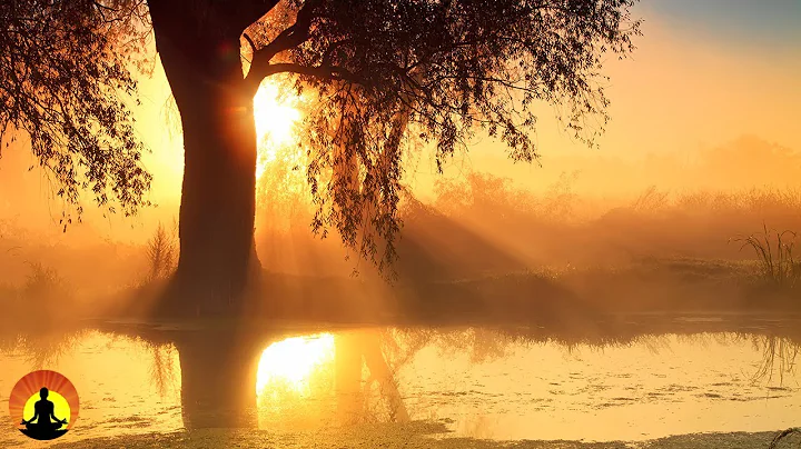 30 Minute Relaxing Sleep Music, Sleep Meditation, Calm Music, Insomnia, Relax, Study, Sleep, ☯169B