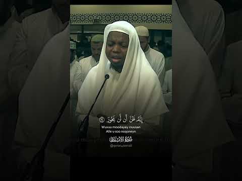 تلاوة خاشعة تصف حال أهل النار