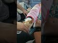 #short Sugar the Chihuahua love to be pet all the time🐩