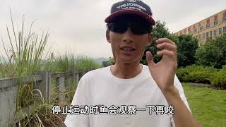 关于以上问题大家有什么不同的看法呢？ #路亚 #路亚钓鱼 #教学 #分享 #vlog