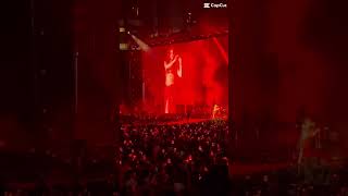 La Tourta shakira latina