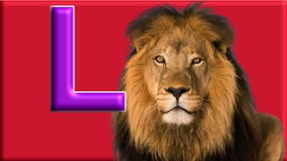 Letter L - Alphabet Animals with Animal Names and Animals Sounds
