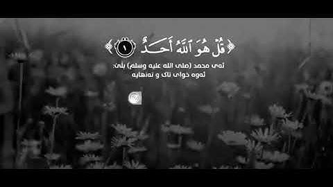 سورة الاخلاص مكررة 3مرات حالات واتس اب القرأن الكريم