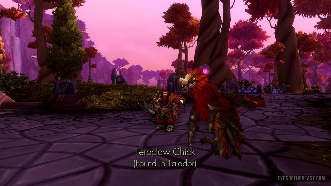 Warlords of Draenor: Teroclaw hunter pets