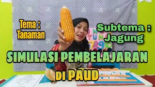 SIMULASI PEMBELAJARAN di PAUD Tema Tanaman Sub tema Jagung