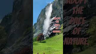 oh Baby Baby Its A Wild World      waterfallssceneryviewnaturespectacleslandscapeworld