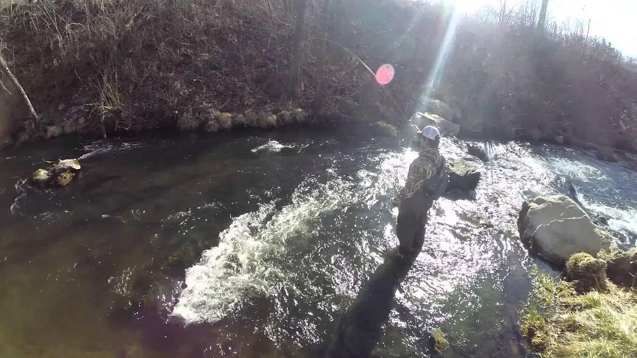 GoPro - Arkansas Trout Fishing: Dry Run Creek - YouTube