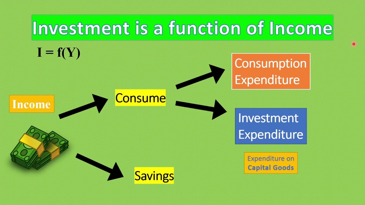 Investment Function (Part: 1) | Autonomous and Induced Investment in