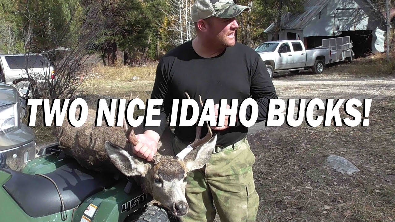 TWO NICE IDAHO BUCKS This Is Why I Love To Hunt In Idaho! YouTube
